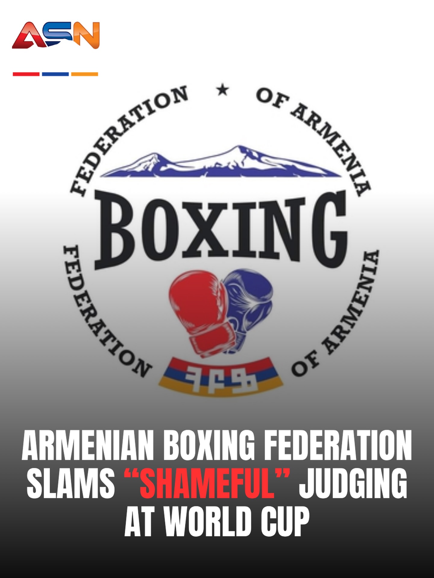 Armenian Boxing Federation Denounces Controversial Officiating at World Boxing Cup